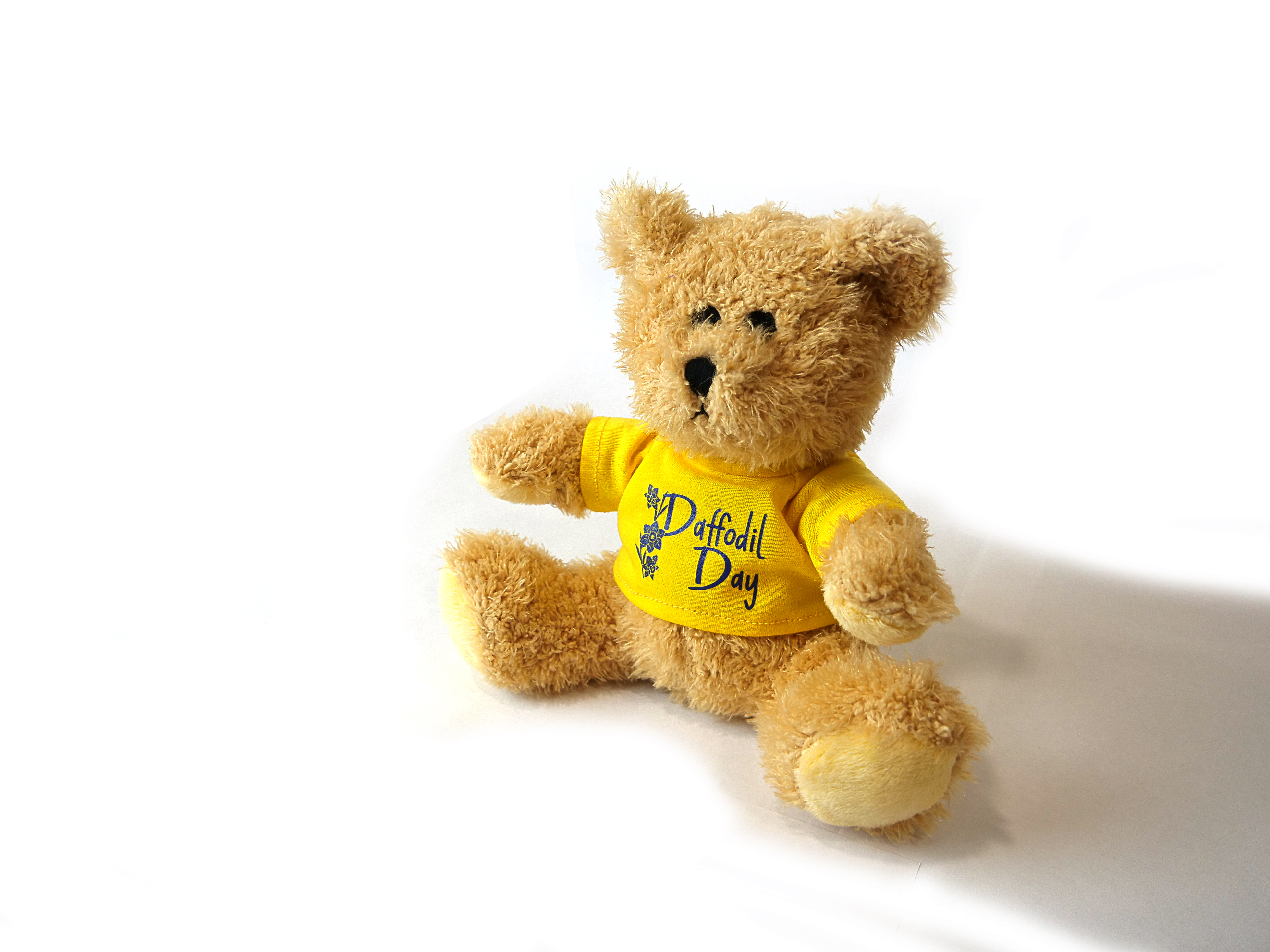 daffodil day teddy bear