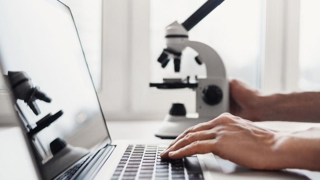 Researcher using laptop computer