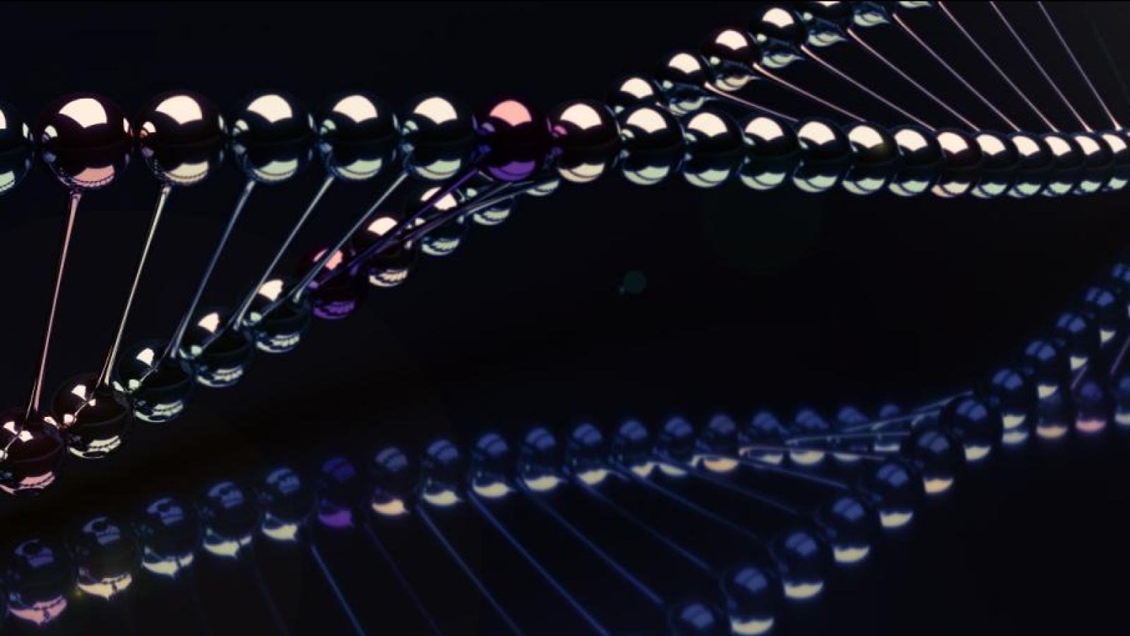 A model showing DNA strands