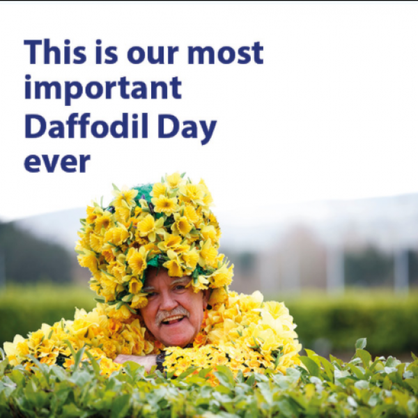 Daffodil Day 2021 Online Launch Irish Cancer Society [ 600 x 600 Pixel ]