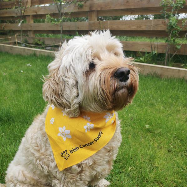 Irish Cancer Society Dog Bandana Irish Cancer Society