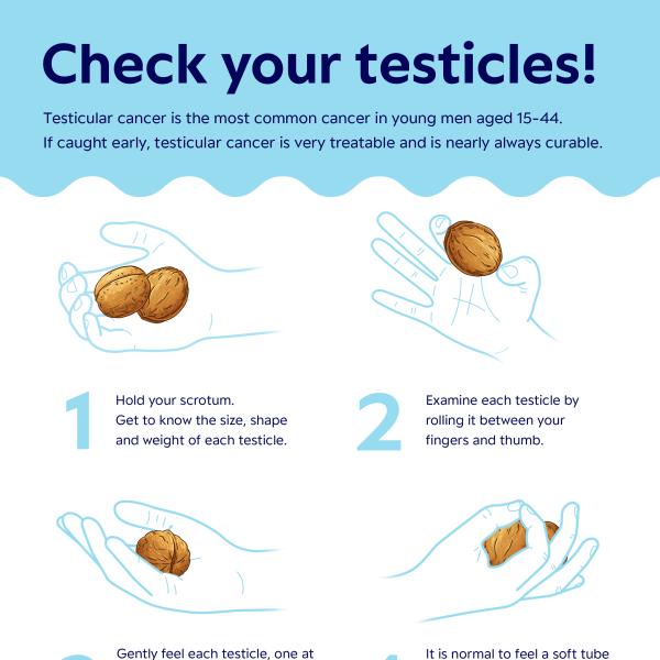 How to check your testicles poster thumbnail
