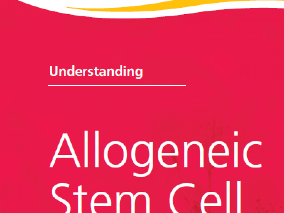 allogeneic stem cell transplant precautions