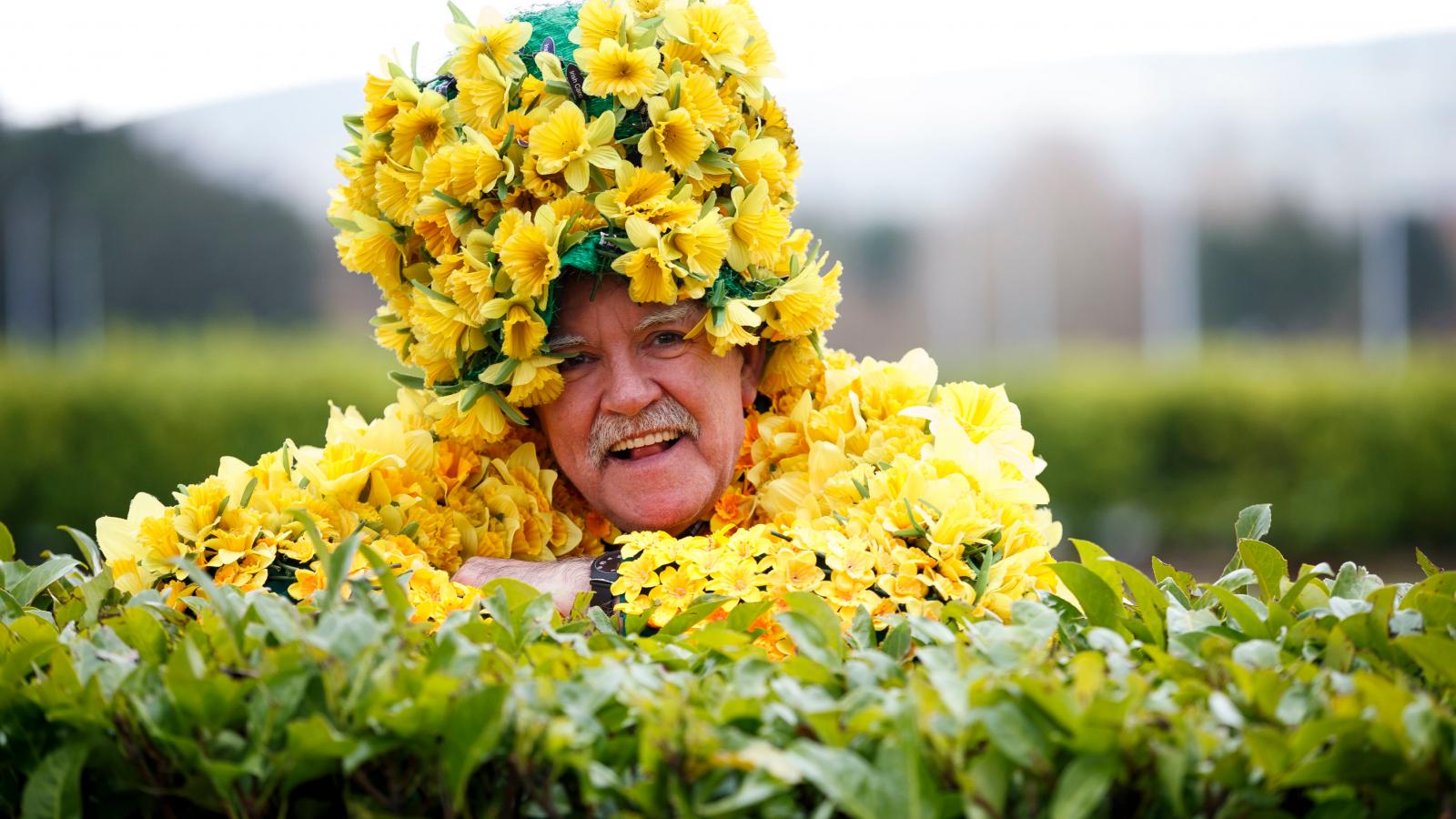 Daffodil Day Irish Cancer Society