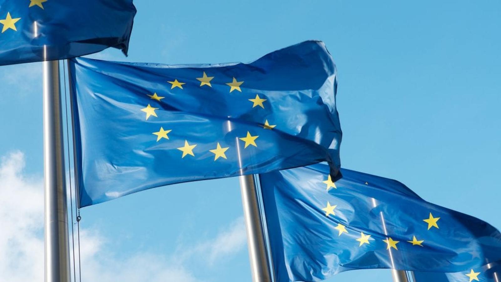 EU flag